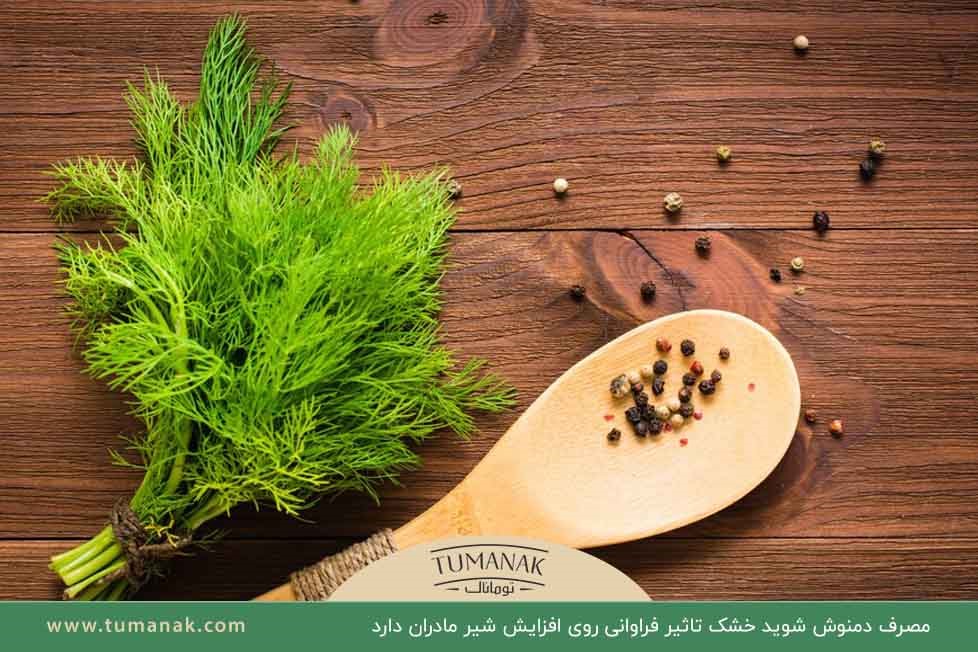 افزایش چشمگیر شیر مادران با مصرف دمنوش شوید خشک