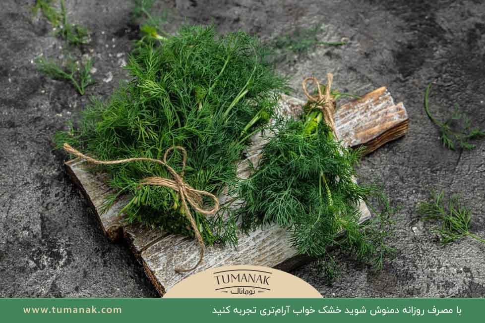 تجربه خوابی آرام و لذت‌بخش با مصرف روزانه دمنوش شوید خشک