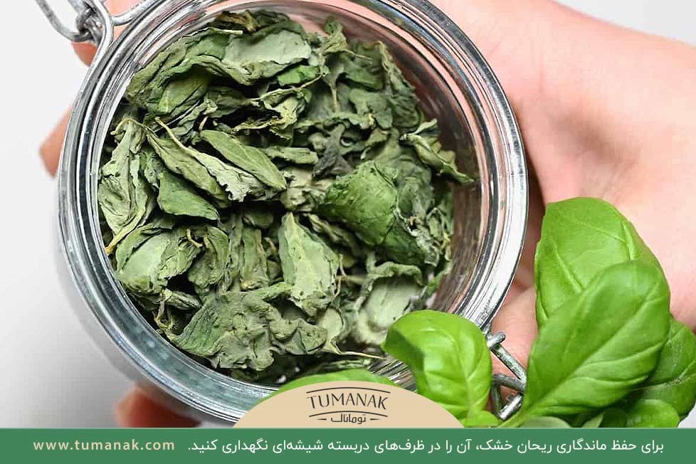 ماندگاری ریحان خشک؛ نگهداری در ظرف دربسته شیشه‌ای