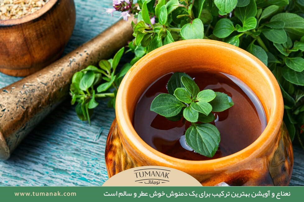 دمنوش نعنا و اویشن؛ مفید برای گلودرد