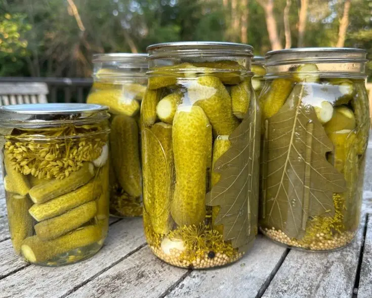 طرز تهیه خیار شور با جادوی ترخون خشک.
